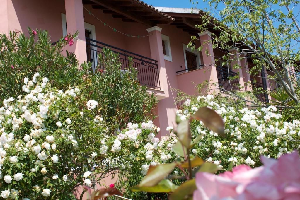 Chrysanthy Apartments Sidari  Exterior photo